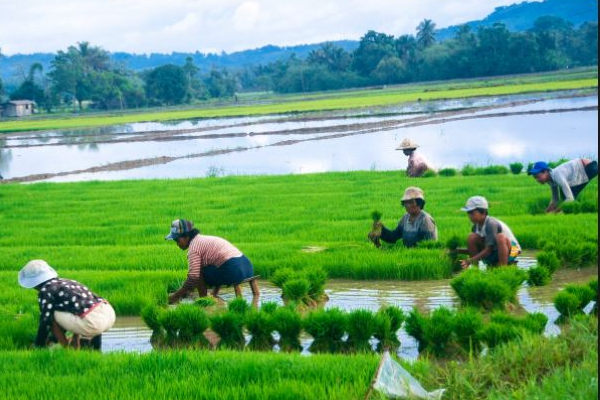 Agricultural Development Zones Promoting New Frontiers